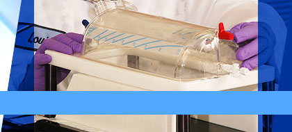 sterilization and testing services